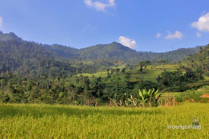 situs lingga yoni petungkriyono pekalongan