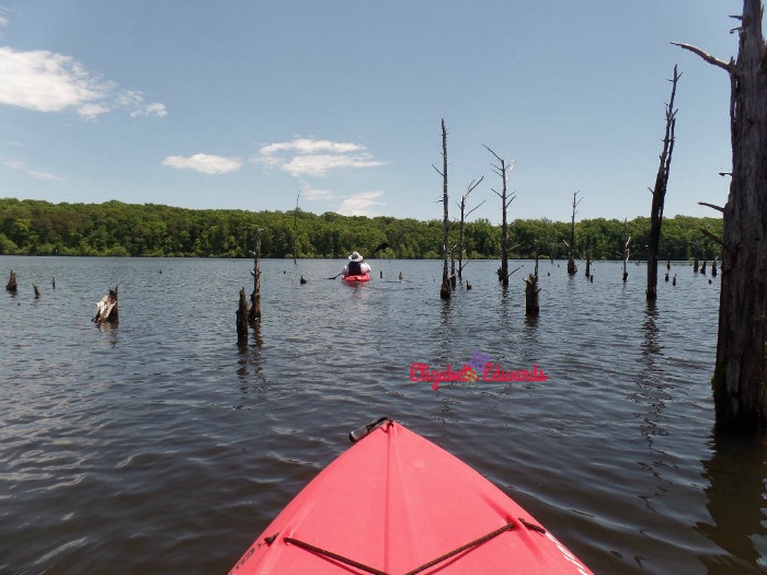 Briery Creek Lake, Farmville, Virginia