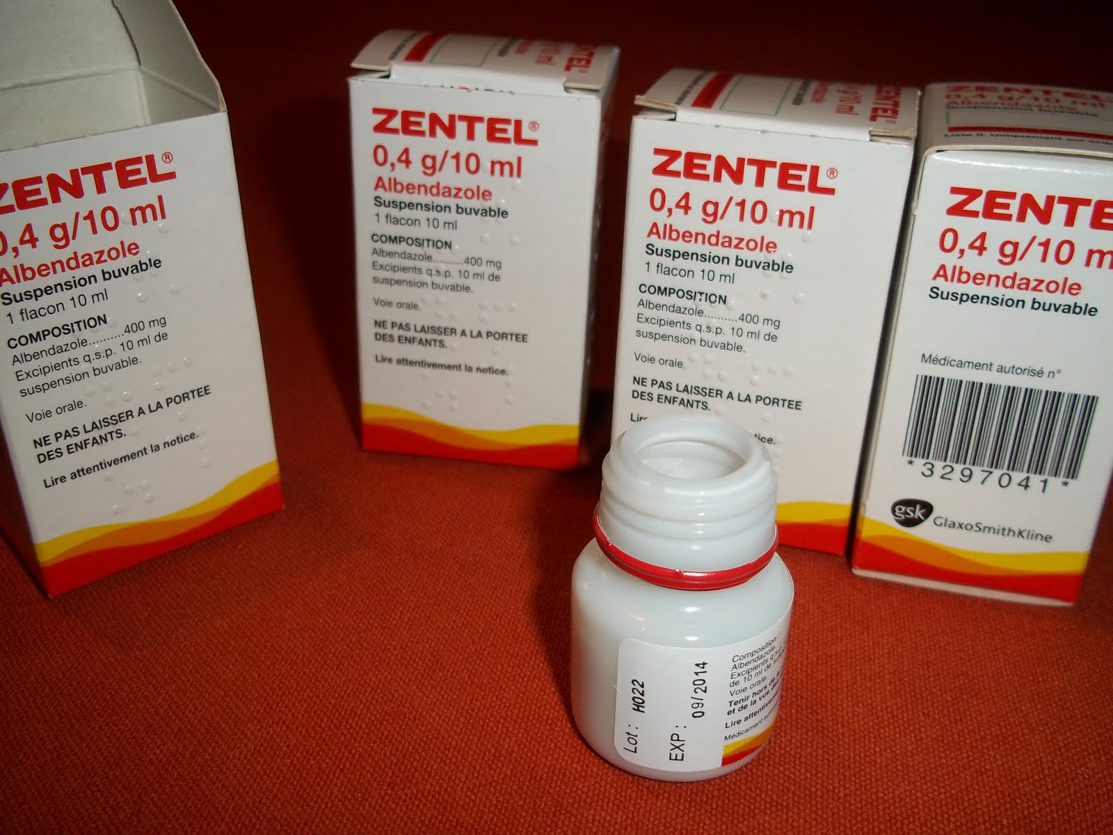 Susanne In Madagascar Zoo In The Belly