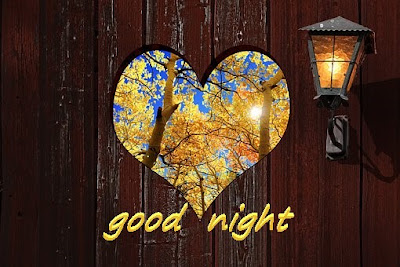 romantic-good-night,gud-night,good-night-hd, good-night-wishes,good-night-msg