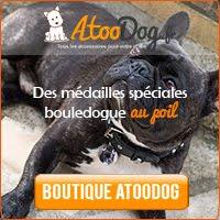 Boutique AtooDog