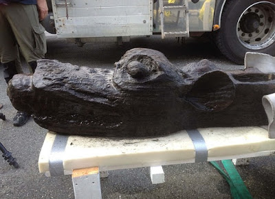 'Sea monster' figurehead salvaged from Danish wreck