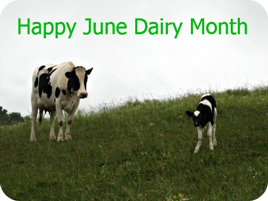 Silo Skies Happy June Dairy Month silo-skies-happy-june-dairy-month