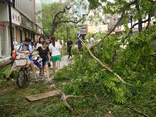 damage from Typhoon Hato at the Lianhua Road Pedestrian Street in Zhuhai, China