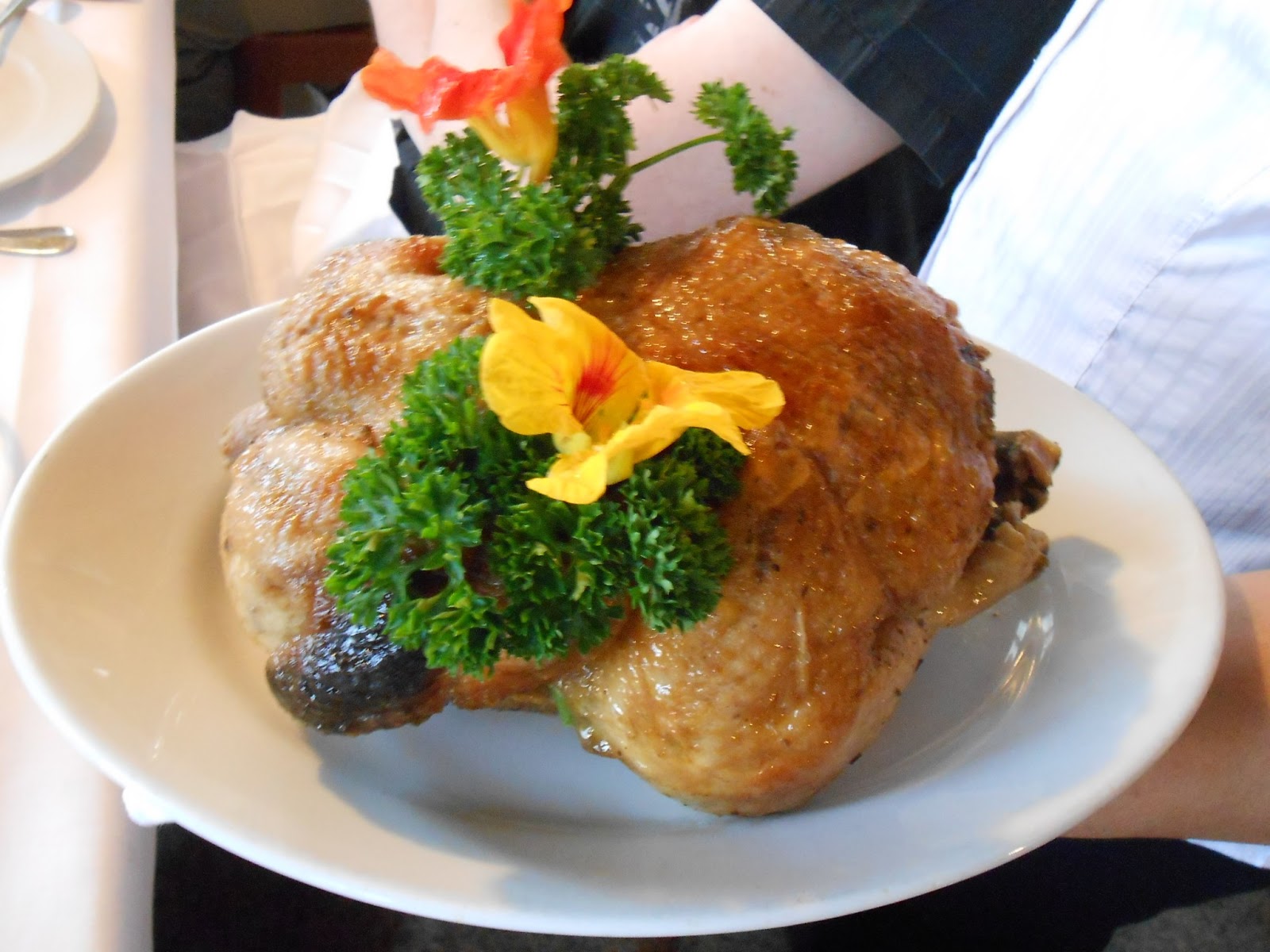 Miez Meets Herbstferien In Parpan Zu Gewinnen