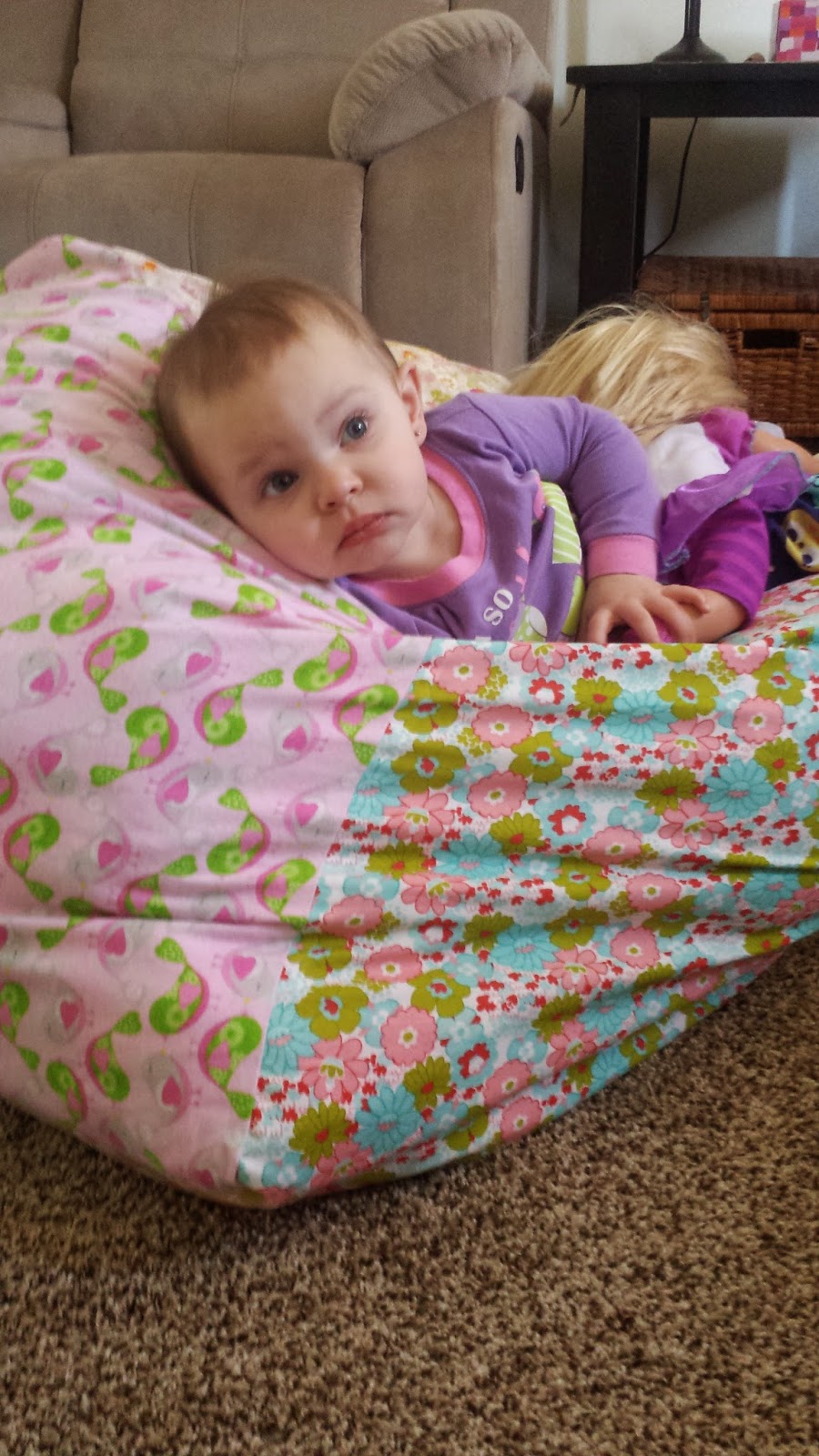 Hints, Tips, and Life of a HouseWife DIY stuffed animal bean bag