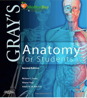 Gray's anatomy for students download pdf free ebook