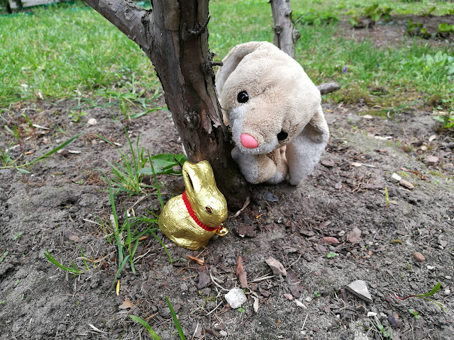 zdjęcie pluszowego zająca