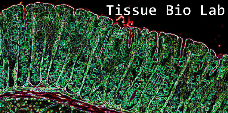 Tissue Bio Lab