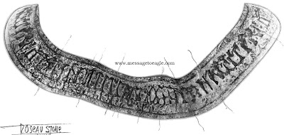 Η ΑΠΙΘΑΝΗ ΠΕΤΡΑ ROSEAU ΣΤΗ ΜΙΝΕΣΟΤΤΑ  