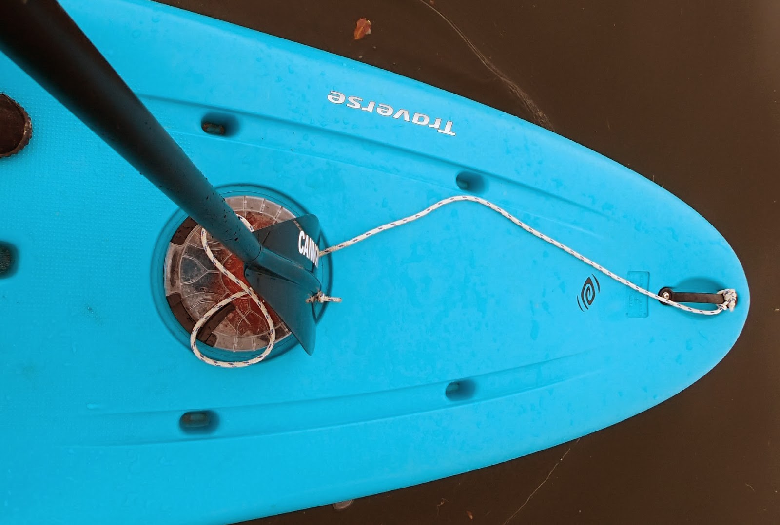 PenobscotPaddles Updates from King's Bay, Crystal River, Florida