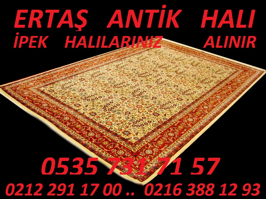 HALI ALANLAR