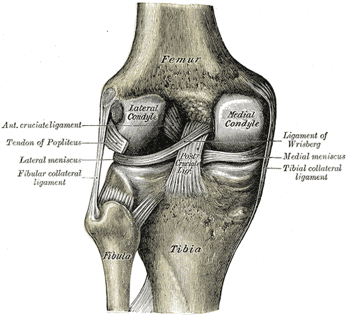 Umflarea genunchiului după antrenament, stres și umflarea genunchiului