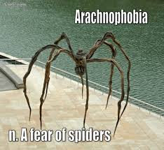  Arachnophobia