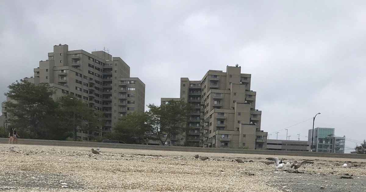 Sea, Sand and Sky "Clamity" on Revere Beach, as thousands of juvenile