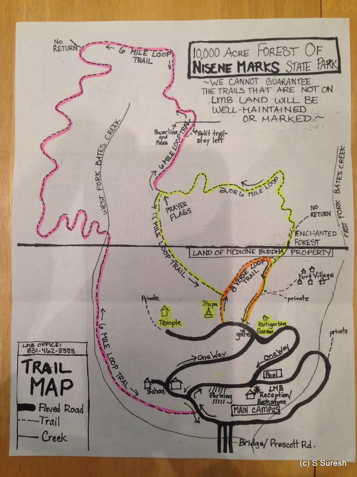 Dog Friendly Hikes Land of Medicine Buddha, Forest of Nisene Marks