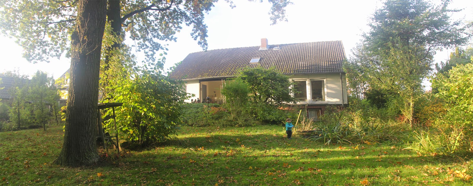 Das Haus am Wald: Das Grundstück