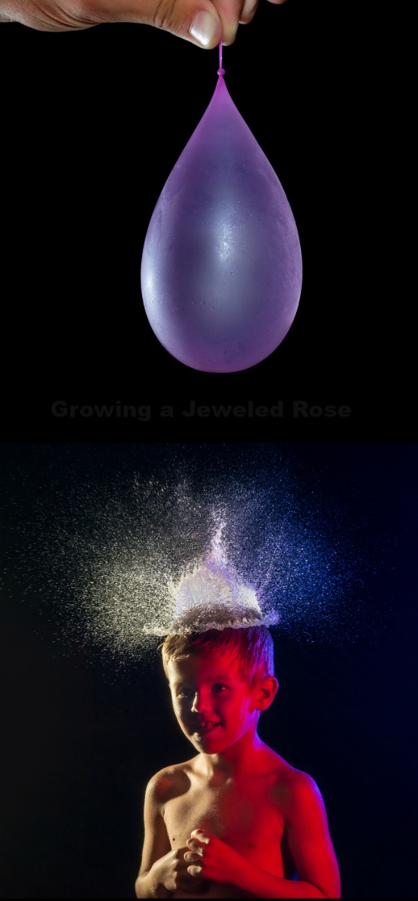 GlowintheDark Water Balloons Growing A Jeweled Rose