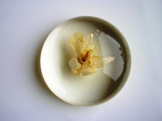 Custom Made Paperweight - Real Flower Paperweight