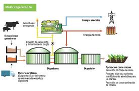 generacion de biogas