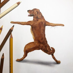 13-Dancing-Dog-Guanyu-Animal-Mashup-www-designstack-co