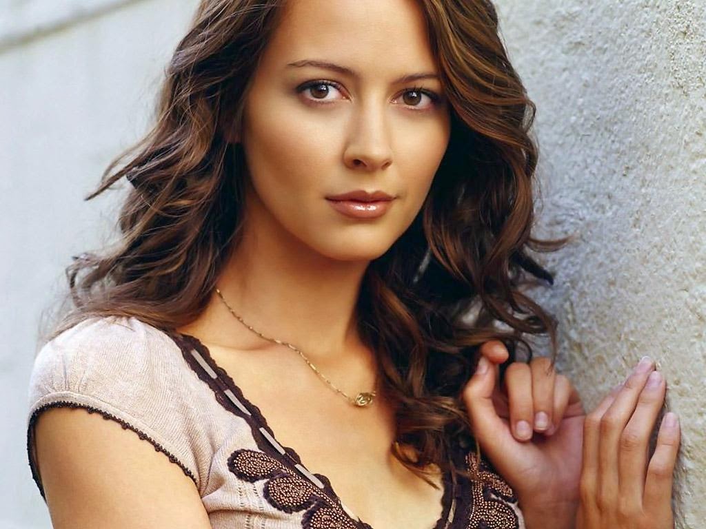 Amy Acker HD Wallpapers.