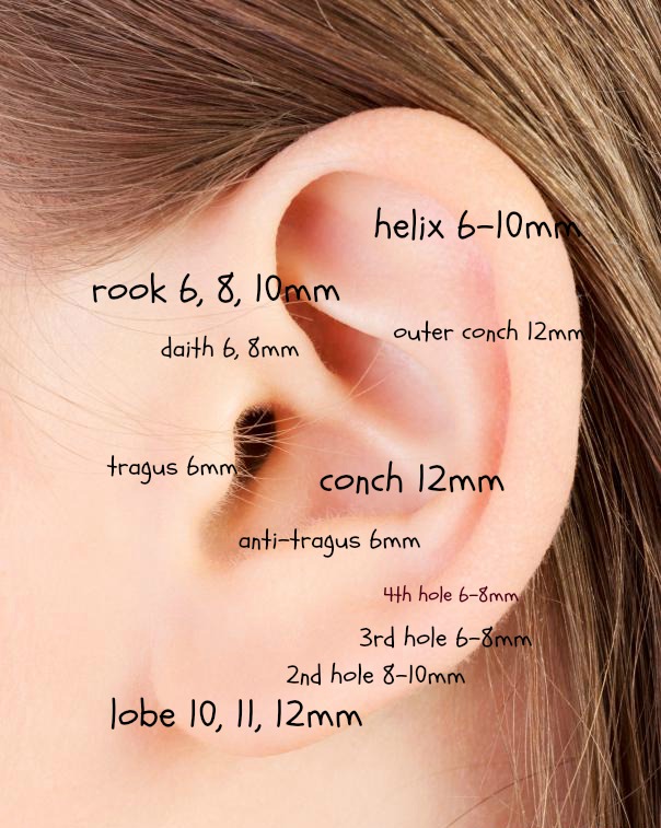 sizing-chart-for-ear-piercings