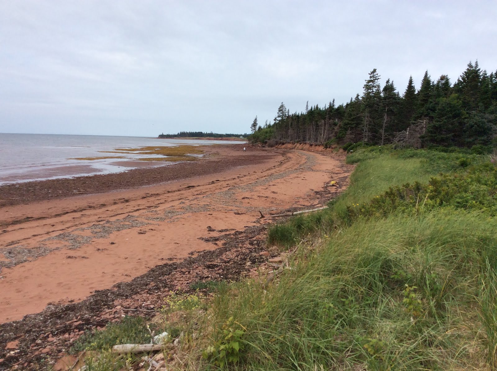 the cottage Port Aux Basques Waterfront Cottage