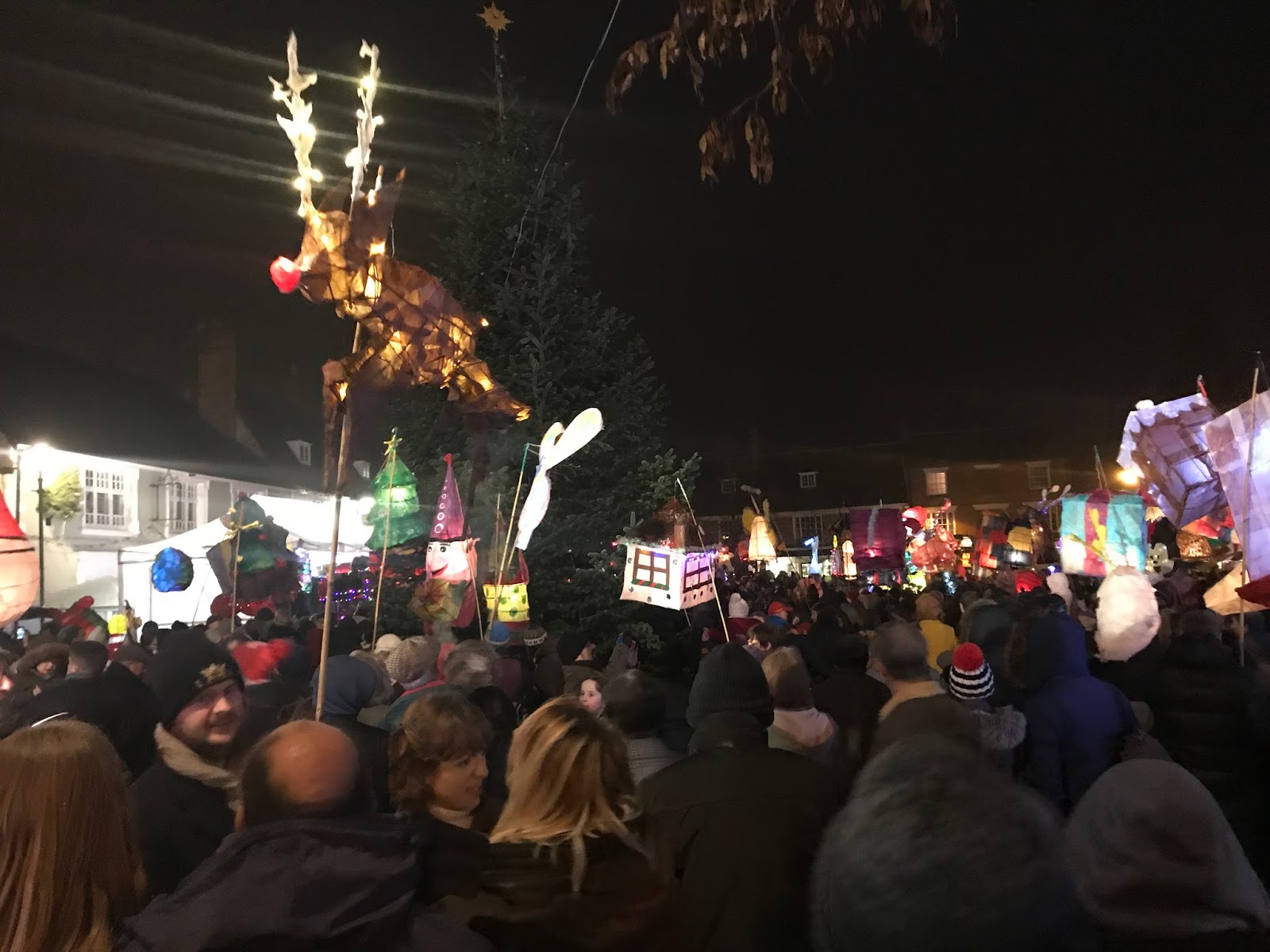 Narrow Boat Albert Stony Stratford Christmas Lights 2017