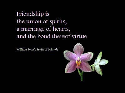 quotes on friendship. Friends and Friendship Quotes