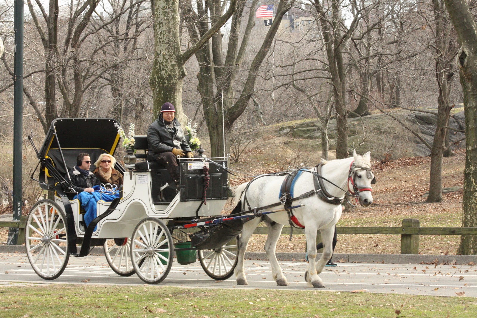 Principal 157+ imagen the box seat In.thptnganamst.edu.vn