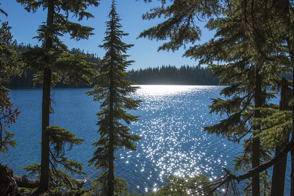 Photographing Oregon Charlton Lake