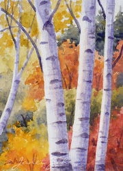 watercolor trees paintings birch oil painting paper autumn birches bark tree paint zeh painted bright watercolors carolina glows landscape