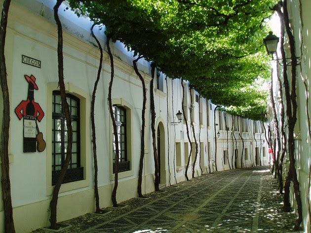 Street in Jerez, Spain