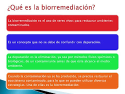 Biorremedacion