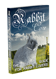 E book for Rabbit Lovers