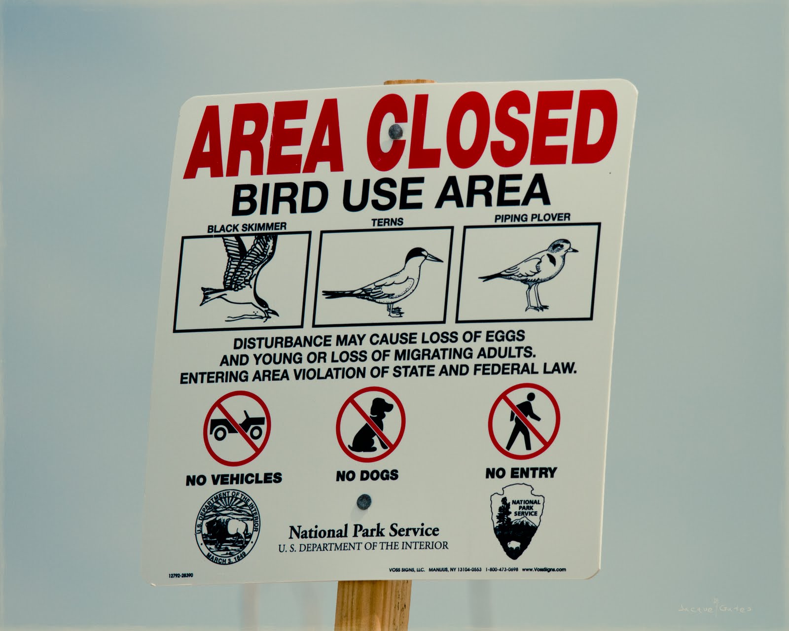 below the mean low tide line “What is Below the Mean Low Tide Line?”