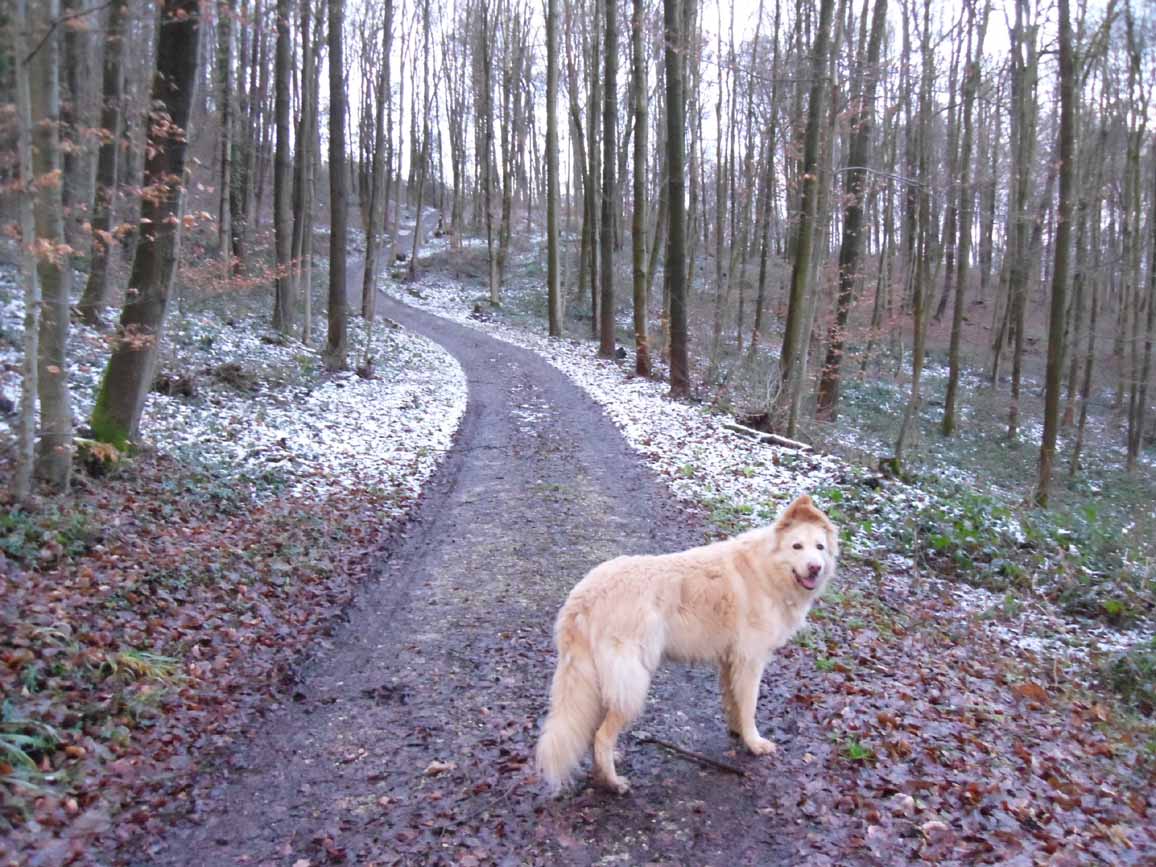 Gallerphot Sagerhof Tannheimer Tal
