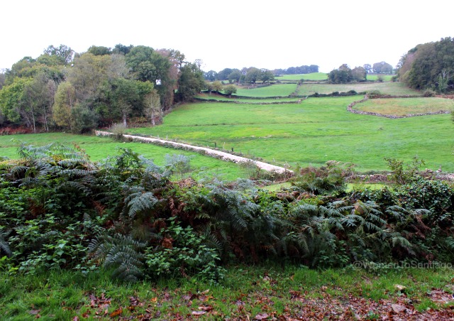 foto del camino de santiago