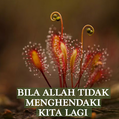 BILA ALLAH TAK MENGHENDAKI KITA LAGI BILA ALLAH TAK MENGHENDAKI KITA LAGI