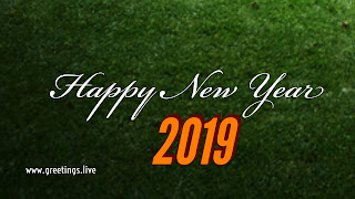 Different colour 2019 font Happy New Year greetings