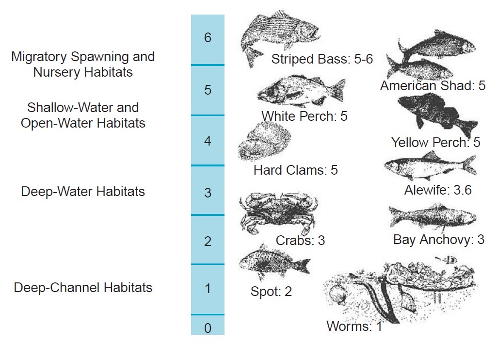 Virginia Water Radio Episode 333 (91216) Dissolved Gases are Part of the Solution for