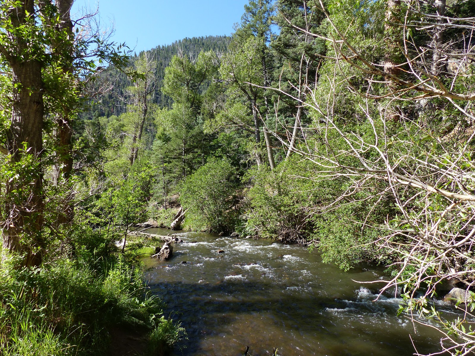 Land Cruising Adventure Cimarron New Mexico