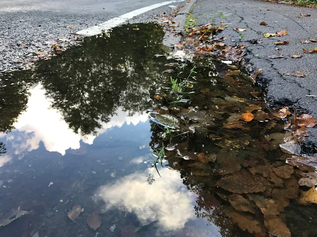 A puddle on the side of the road with brown leaves in and the reflection of clouds in the water