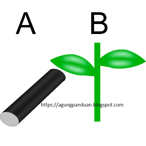 Membuat Efek Cahaya Selang Pipa dan Daun 3 Dimensi Coreldraw - AGUNG TUTORIAL