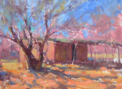 plein air oil scottsdale arizona painting artists tubac workshop jacal michael johnson painters painter tumacacori private chesley sold 9x12 january