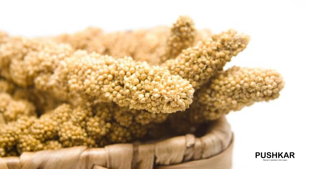 ЭКСТРАКТ ПРОСА + L-ЦИСТЕИН + ВИТАМИН B5 МОГУТ ОБРАТИТЬ ПОТЕРЮ ВОЛОС ВСПЯТЬ!