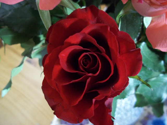 Red Rose