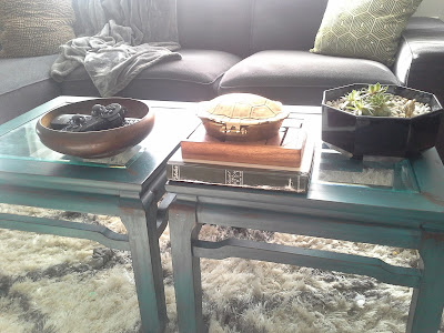 coffee table, nate berkus gold turtle, succulent plants