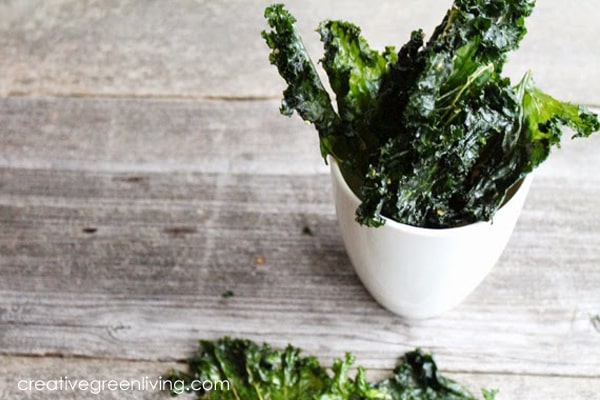 How to make salt and vinegar kale chips in a food dehydrator - the best way to get crispy kale chips that aren't soggy